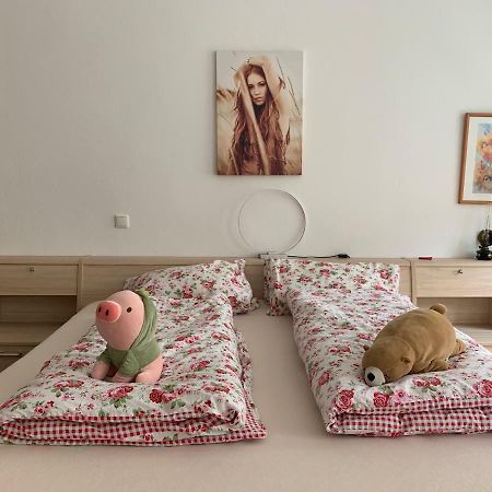 Ferienwohnung Annaberg-Buchholz Extérieur photo